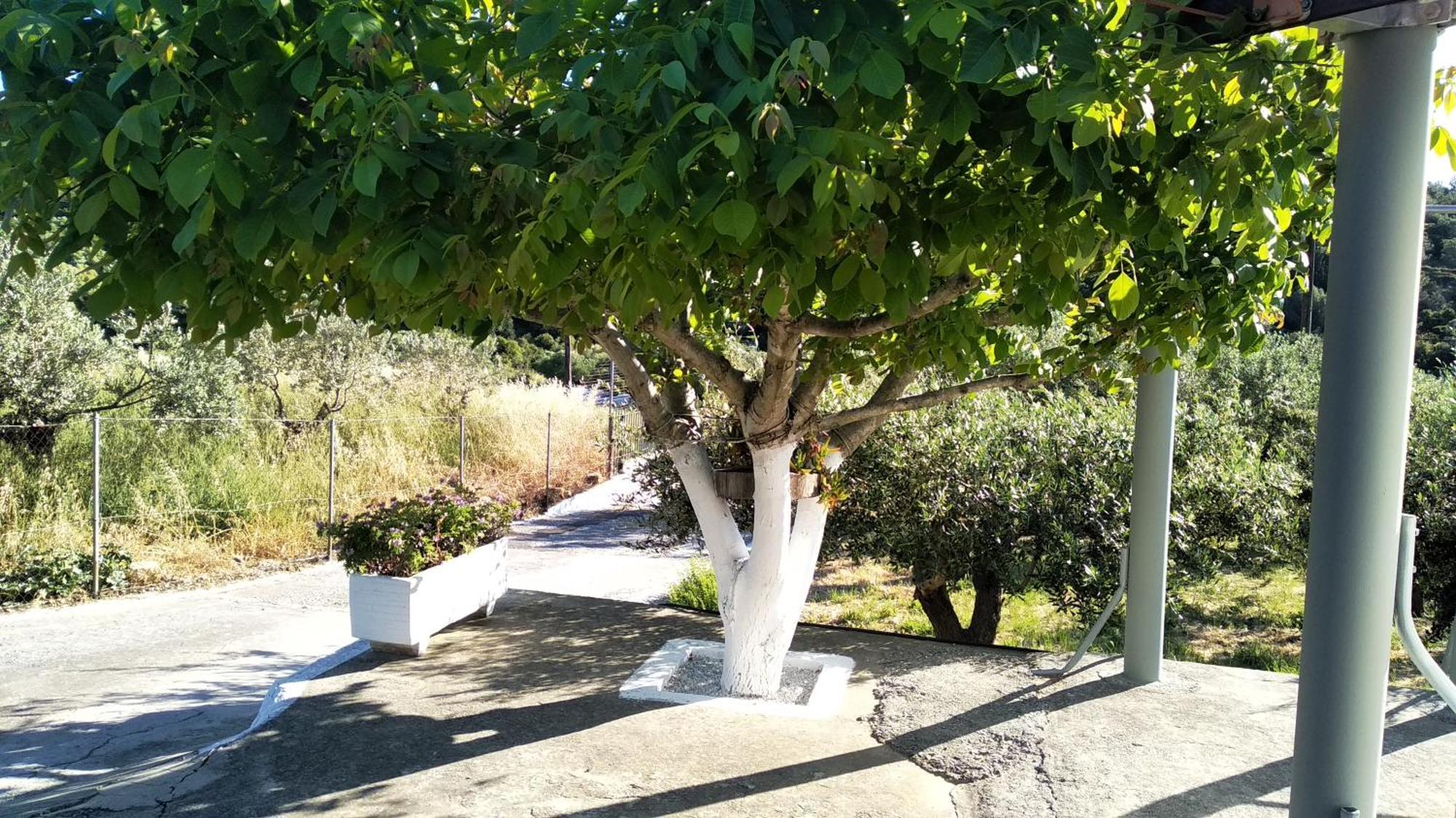 Country House In Speri Palaiokastro Palaiokastron (Samos) Exterior foto